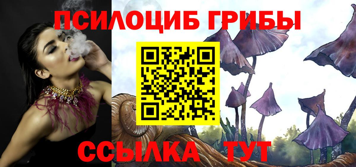 Псилоцибиновые грибы Magic Shrooms Ялуторовск